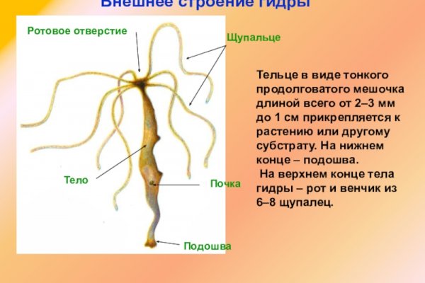 Как зайти на кракен через тор браузер