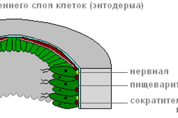 Сайт наркотиков купить