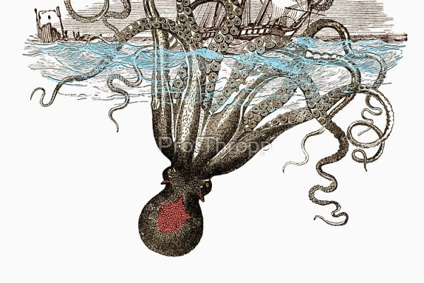 Kraken 13 at